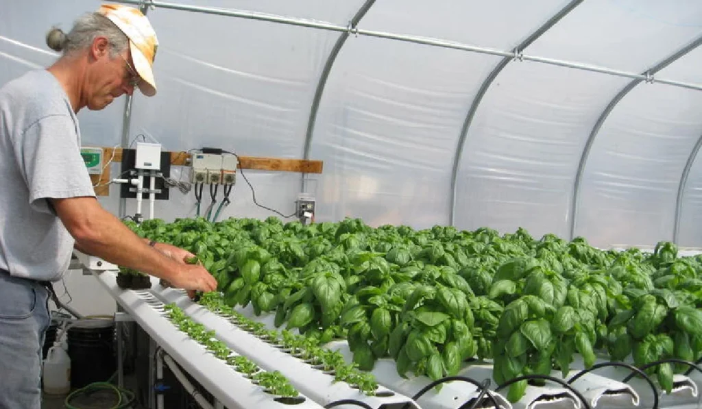 kenneth mygreenbucks net